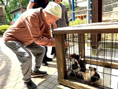LINE_ALBUM_16_250516_15